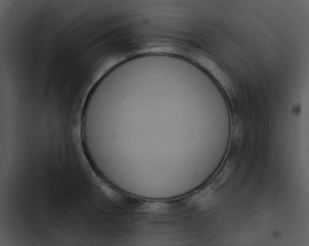 X0000102831282200809081146