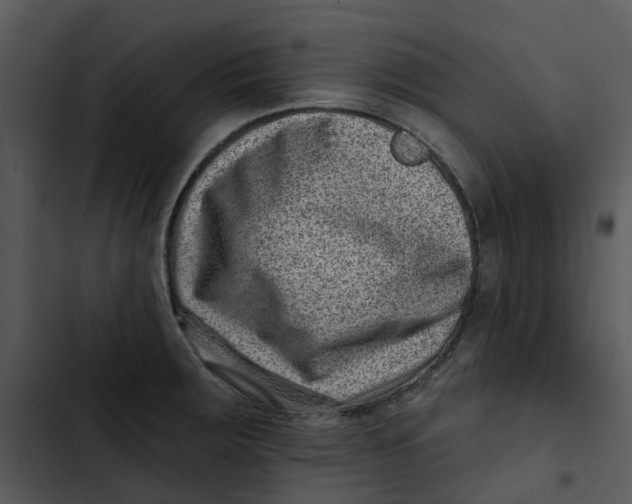 X0000102831283200809081146