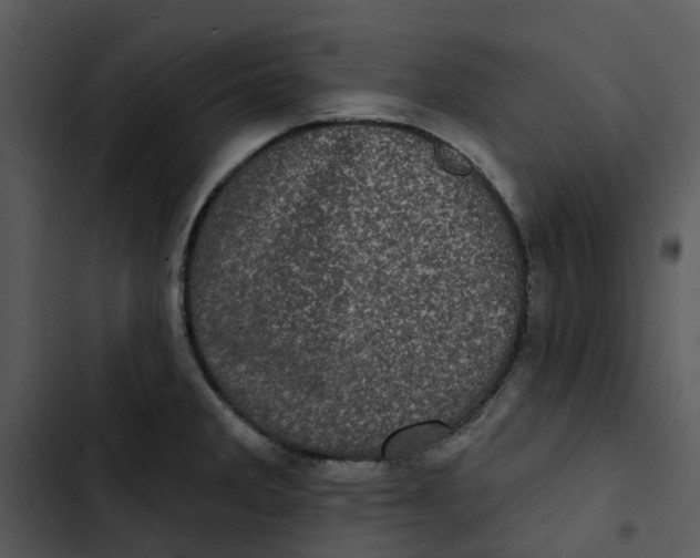 X0000102831285200809081146