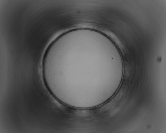 X0000102831286200809081146