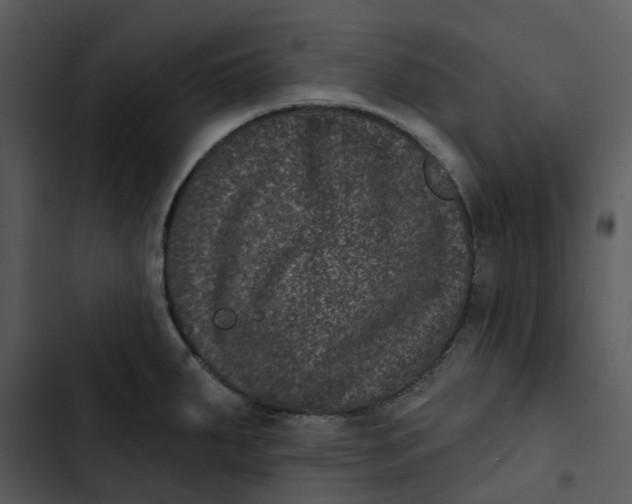 X0000102831287200809081146