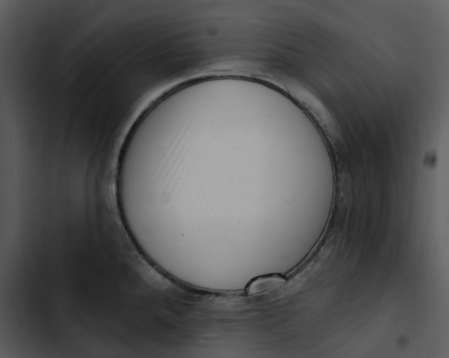 X0000102831288200809081146