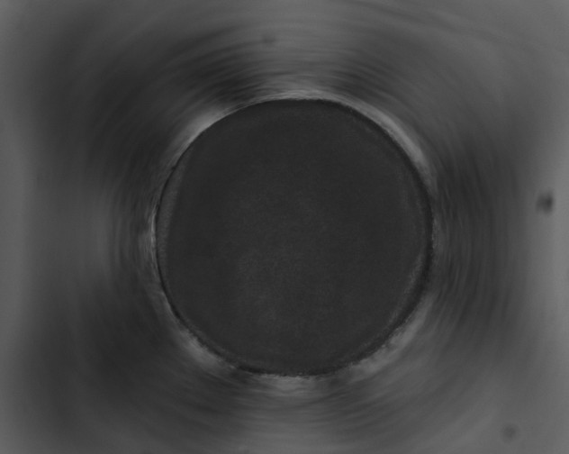 X0000102831289200809081146