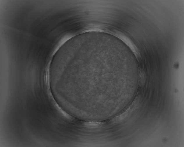 X0000102831290200809081146