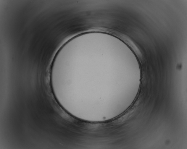 X0000102831292200809081146