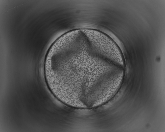 X0000102831293200809081146