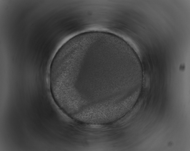 X0000102831295200809081146