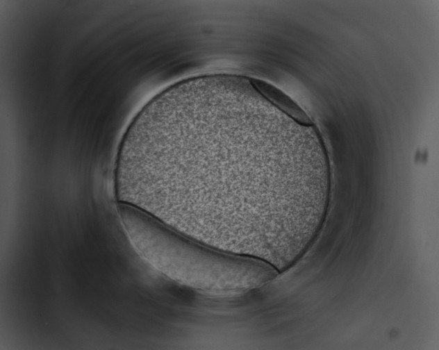 X0000102831296200809081146