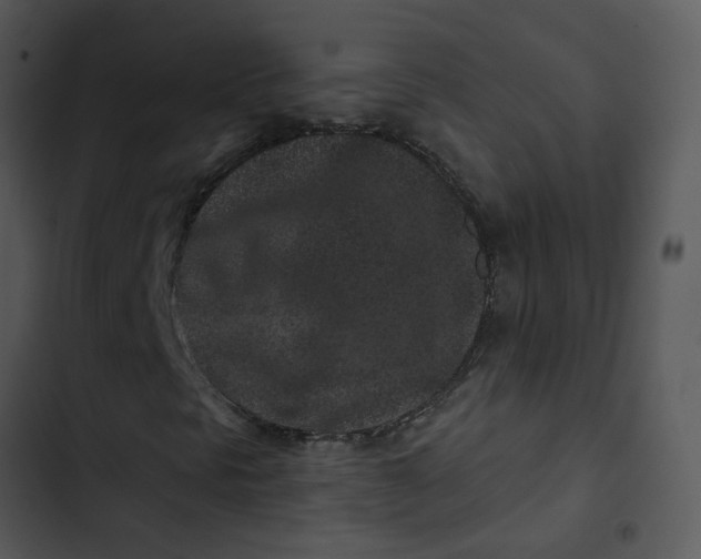 X0000102831297200809081145