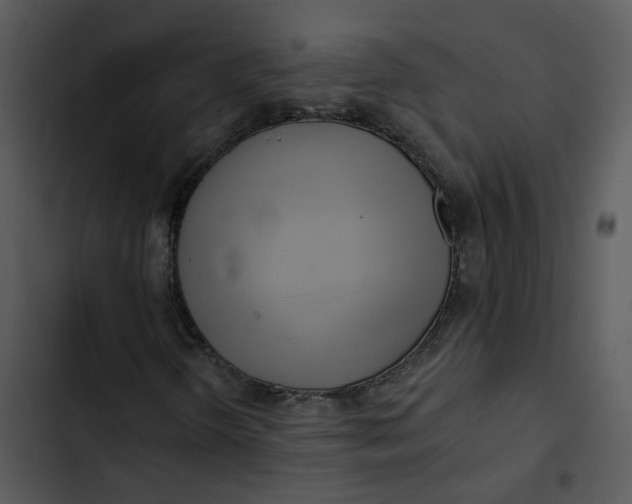 X0000102831298200809081145