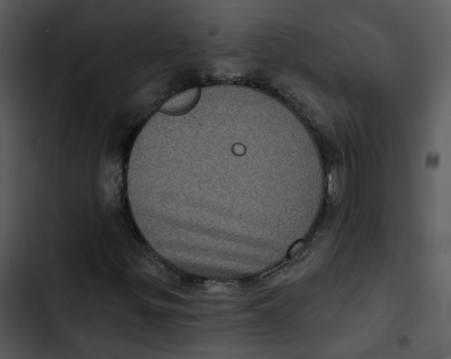 X0000102831299200809081145