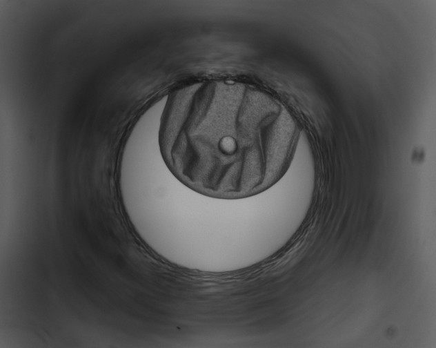 X0000102831300200809081145