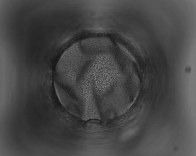 X0000102831301200809081145