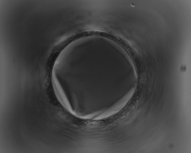 X0000102831303200809081145