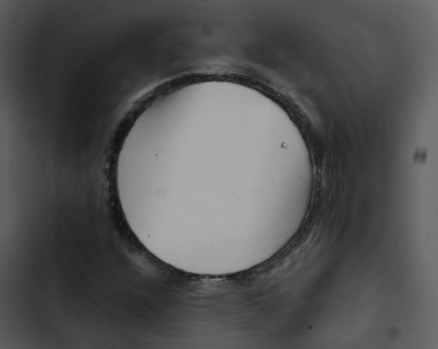 X0000102831304200809081145