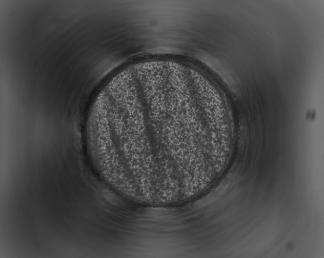 X0000102831305200809081146