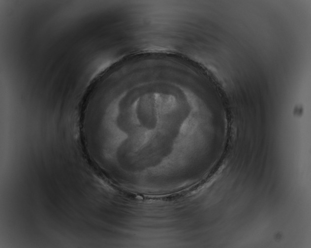 X0000102831306200809081146