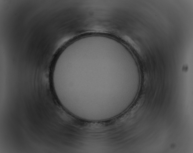 X0000102831307200809081146