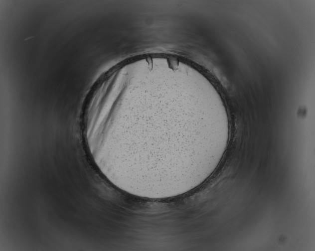 X0000102831308200809081146