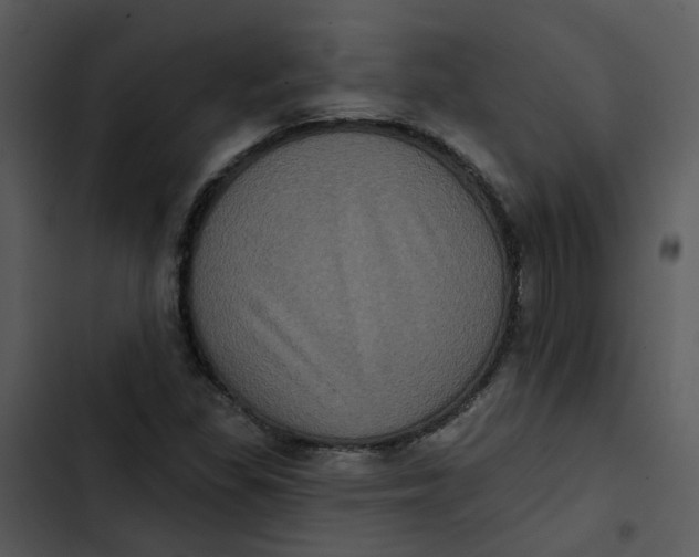 X0000102831309200809081146