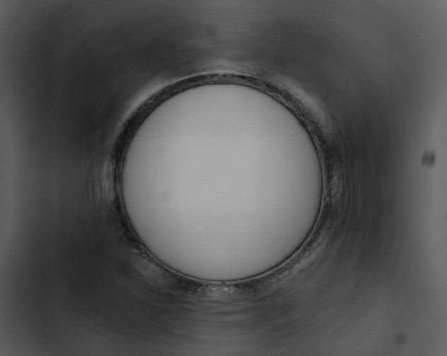 X0000102831310200809081146