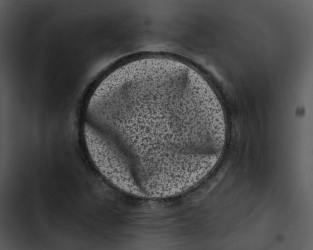 X0000102831311200809081146