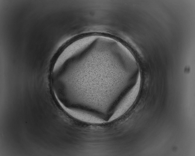 X0000102831312200809081146