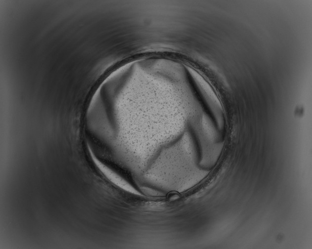 X0000102831313200809081146