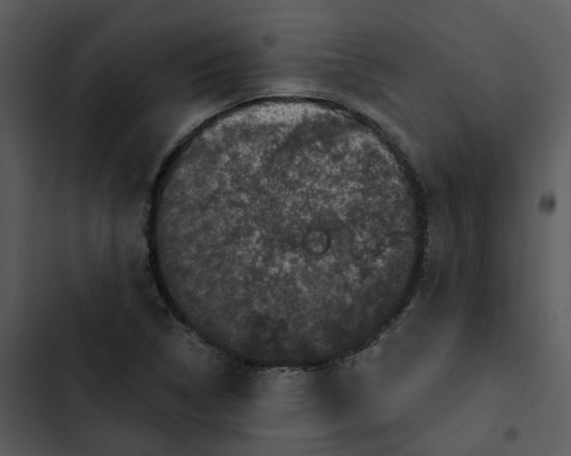 X0000102831314200809081146