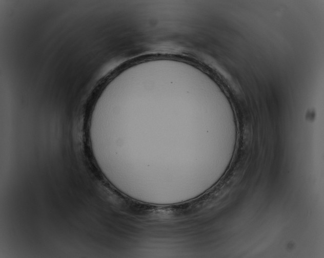 X0000102831315200809081146