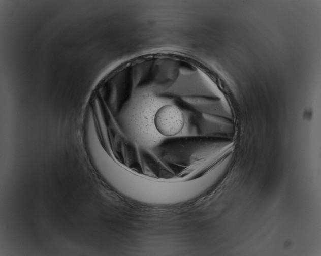 X0000102831316200809081146