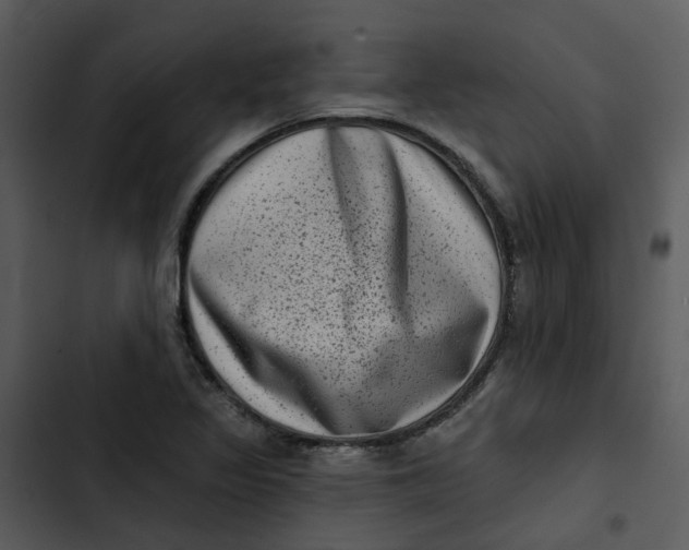 X0000102831317200809081146