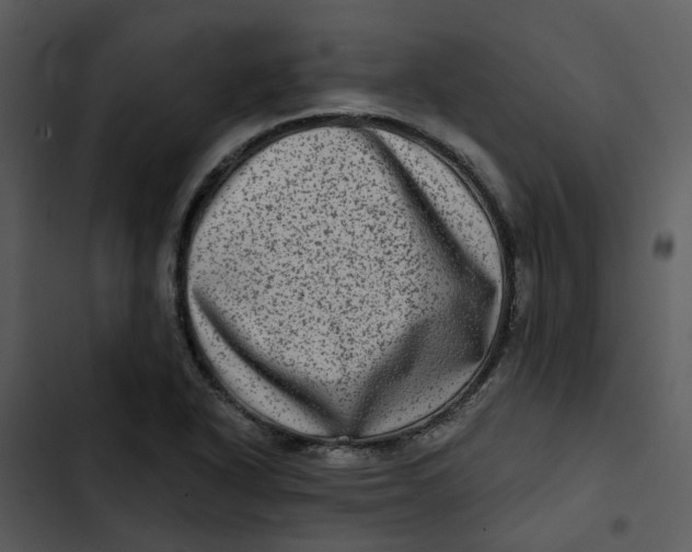 X0000102831318200809081146