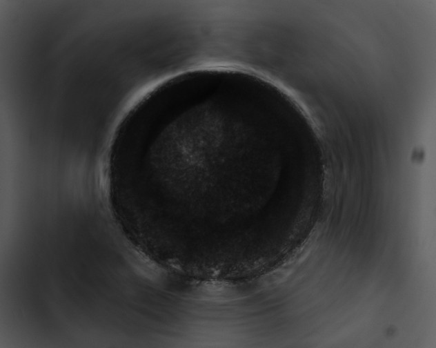 X0000102831319200809081146