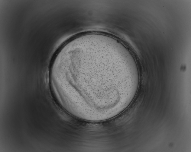 X0000102831320200809081146