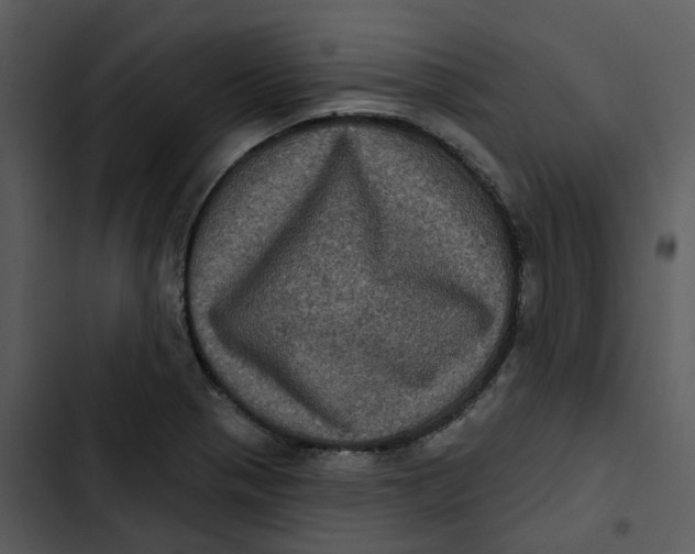 X0000102831321200809081146