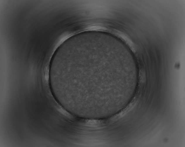 X0000102831322200809081146