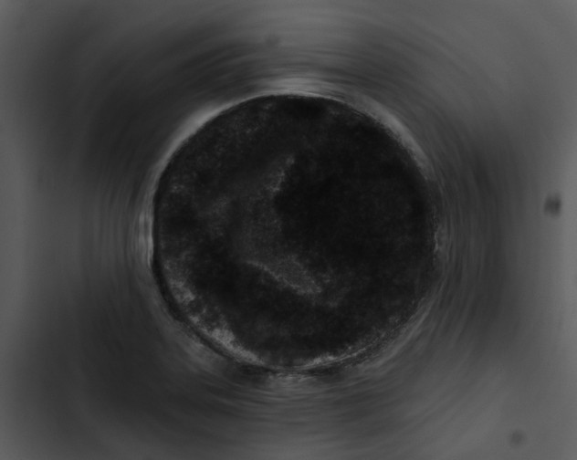 X0000102831323200809081146