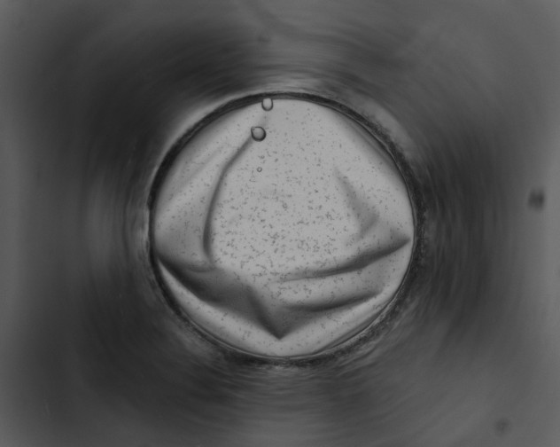 X0000102831324200809081146