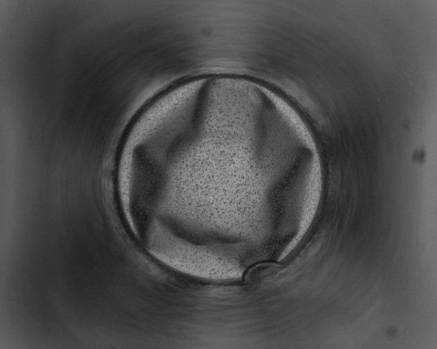 X0000102831325200809081146