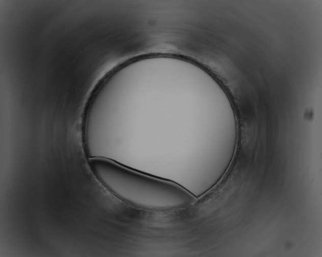 X0000102831326200809081146