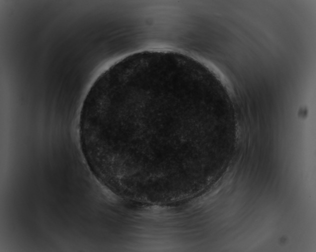 X0000102831327200809081146