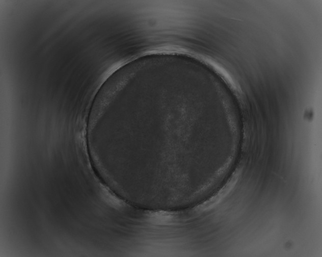 X0000102831329200809081146