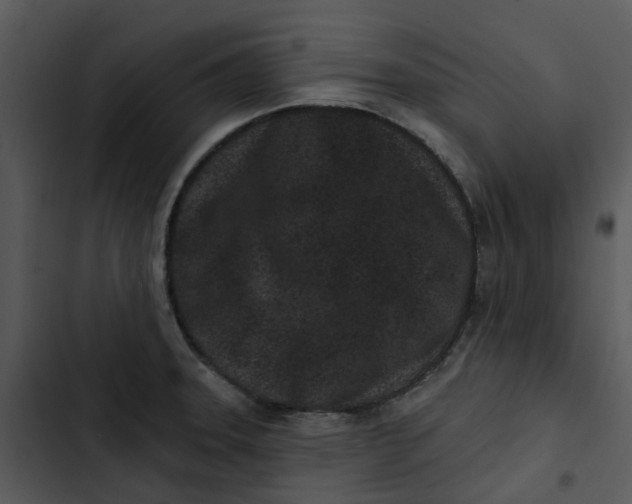 X0000102831331200809081146