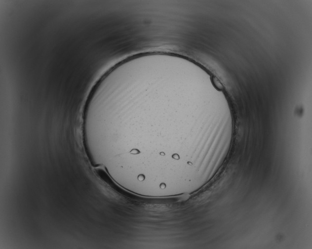 X0000102831332200809081146