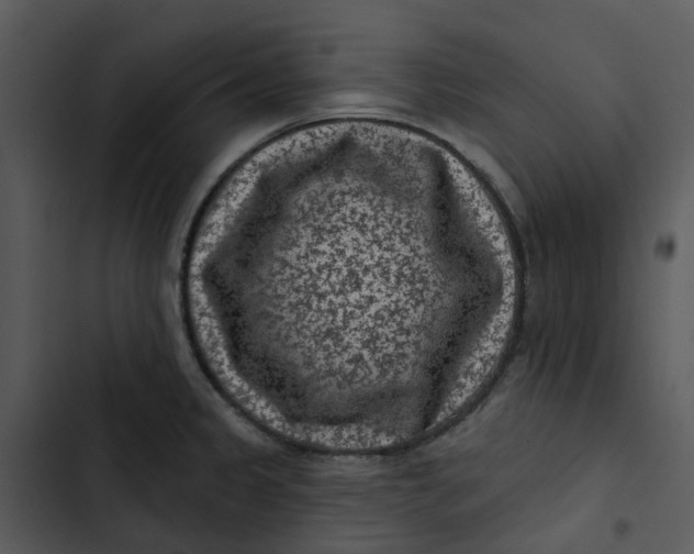 X0000102831333200809081146