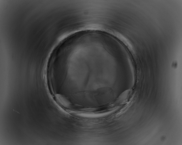 X0000102831334200809081146