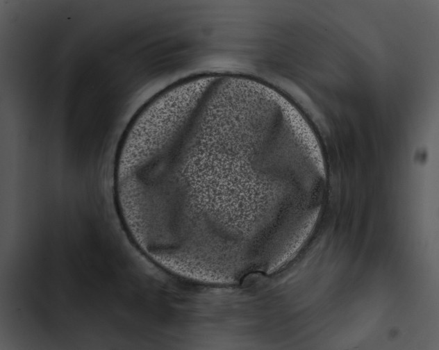 X0000102831335200809081146