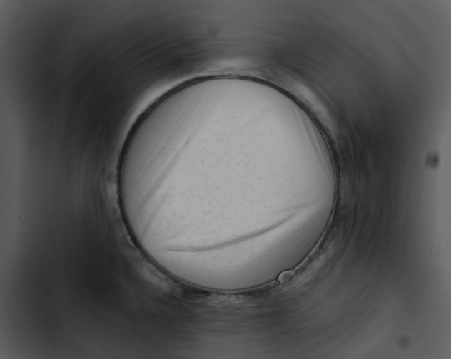 X0000102831336200809081146