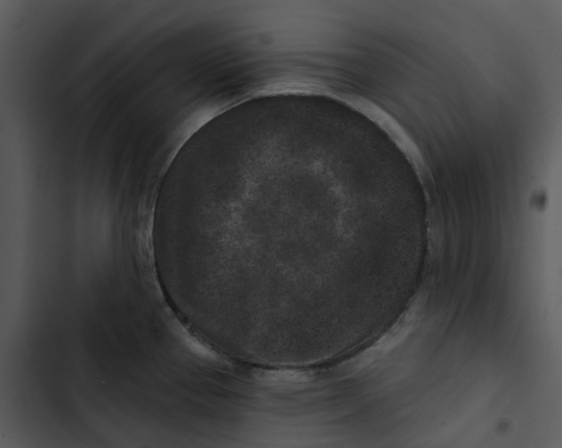 X0000102831337200809081146